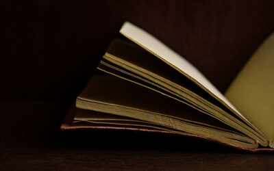 sheen-photography-SBuIwMO8CKs-unsplash